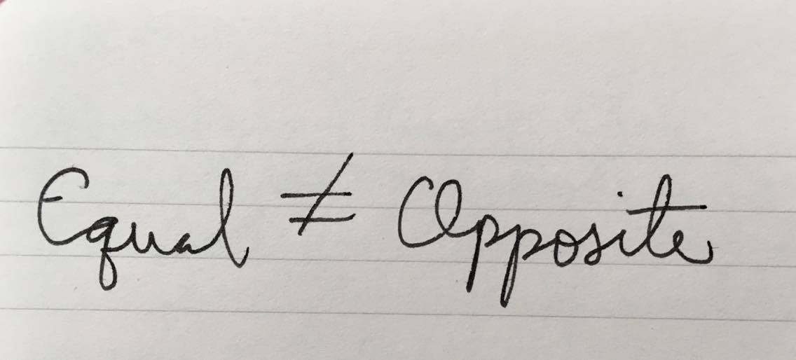 21733868_10214068171760956_1726168460_o