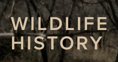 Screen Shot 2018-06-20 at 21.11.28CDT